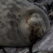 _MG_6692.jpg