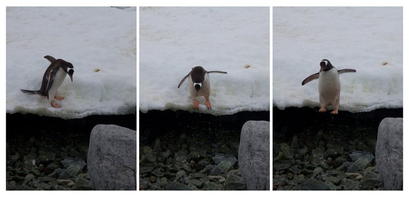 jumper