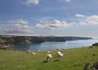 Gower