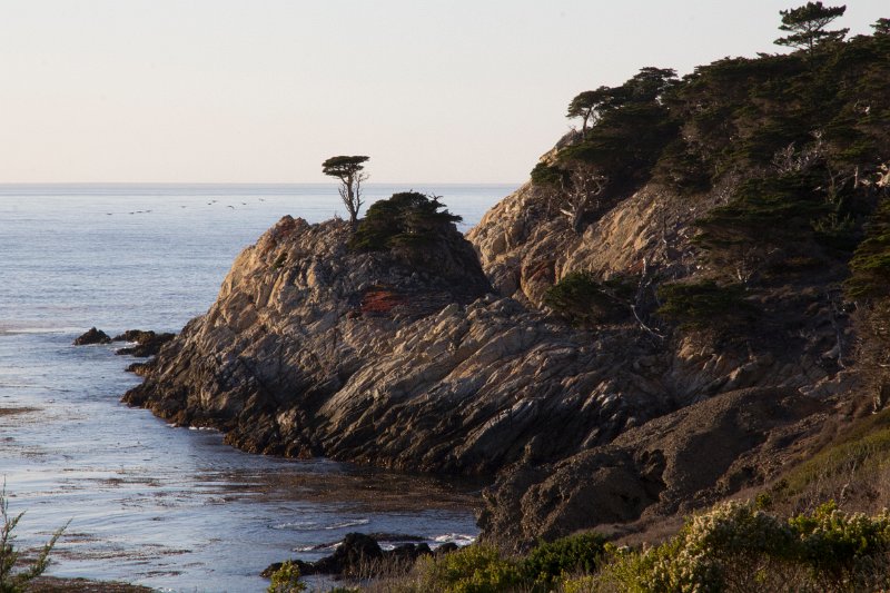 Point Lobos