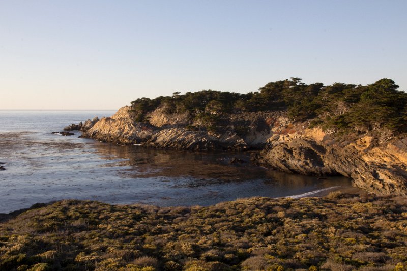 Point Lobos park.