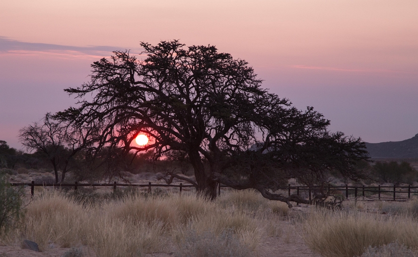 namibia-11