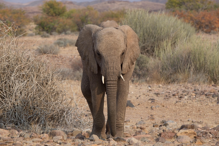 namibia-23