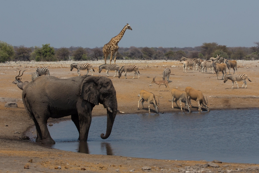 namibia-32