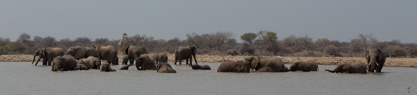 namibia-34