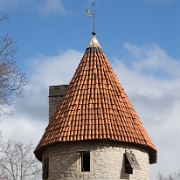 IMG_1723.jpg