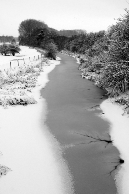 IMG_2349_bw_edited-1